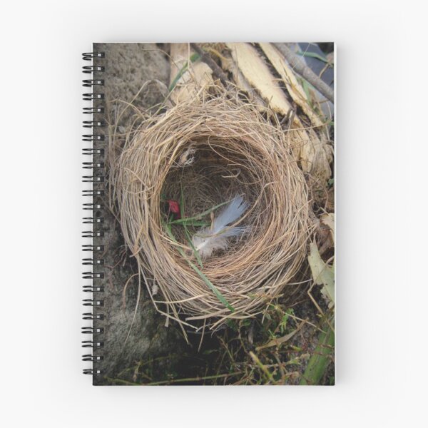 Item preview, empty nest designed and sold by jeugenet.