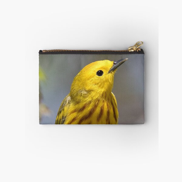 Item preview, Yellow Warbler on Display designed and sold by WorldDesign.