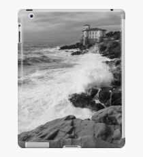 Waterscape iPad Case/Skin