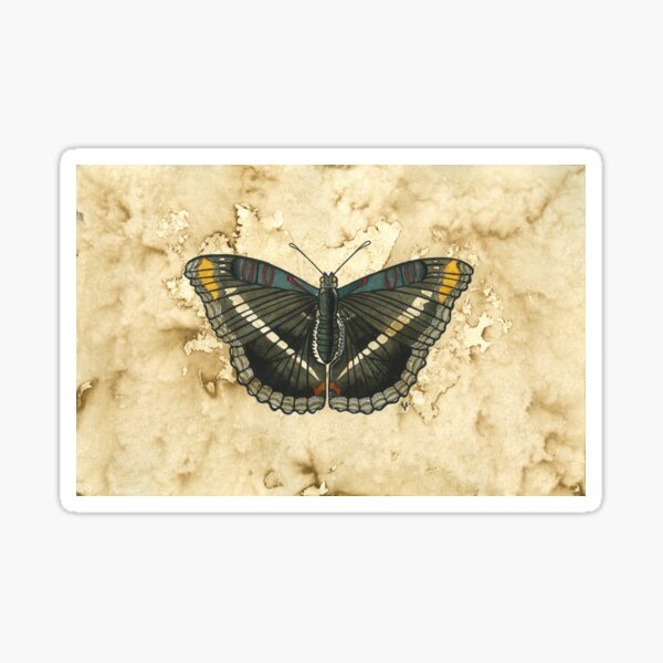 California Sister Sticker