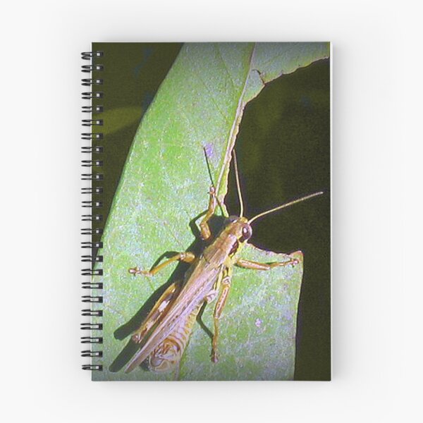 Item preview, Grass Hopper  designed and sold by jeugenet.