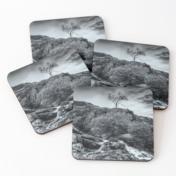 Item preview, Tree in Snowdonia designed and sold by David Lichtneker.