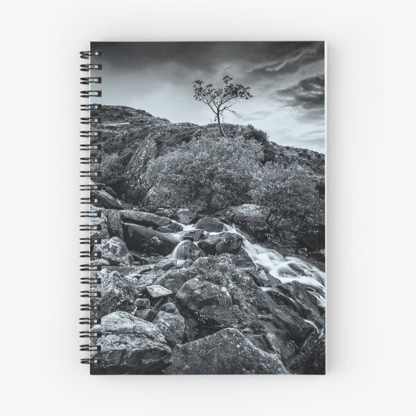 Item preview, Tree in Snowdonia designed and sold by David Lichtneker.