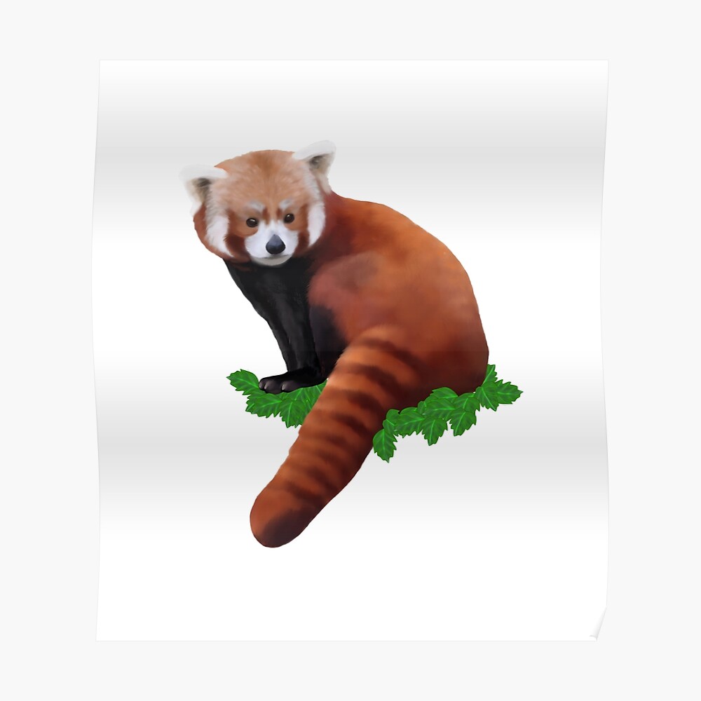 Cute Little Red Panda Illustration Sticker For Sale By Trefail Redbubble