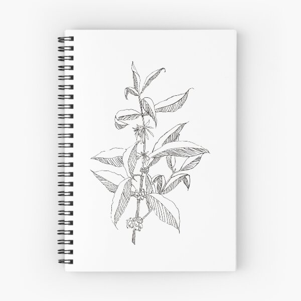 Item preview, Arabica designed and sold by Sarah Jayne Kennelly.