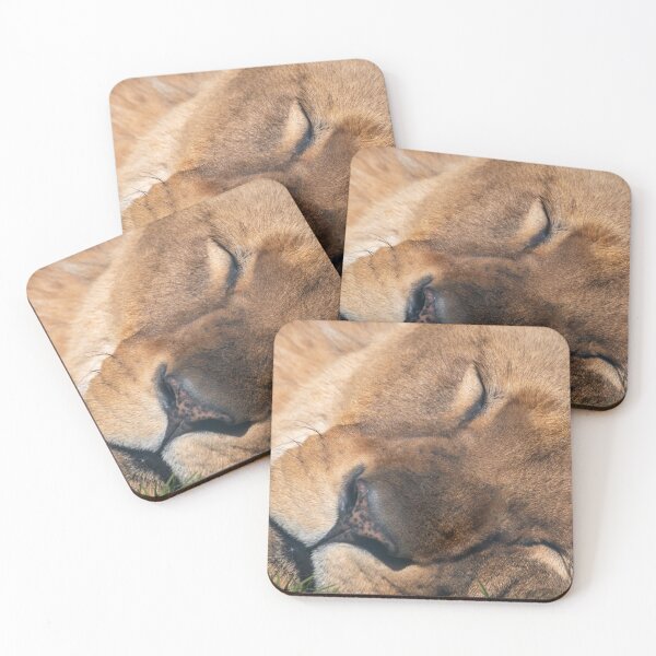 Item preview, Dozing lion designed and sold by cdkphotos.
