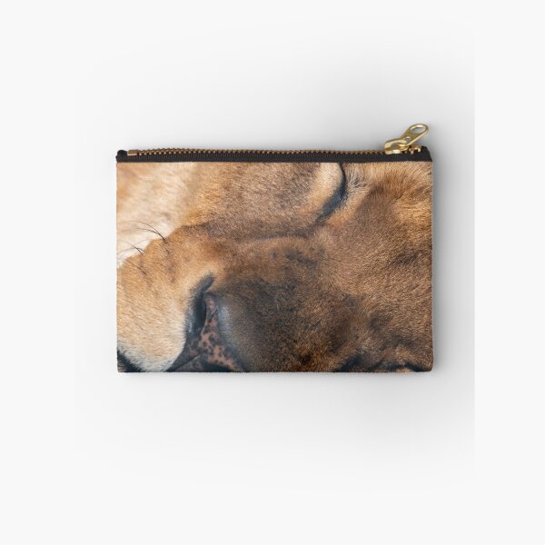 Item preview, Dozing lion designed and sold by cdkphotos.