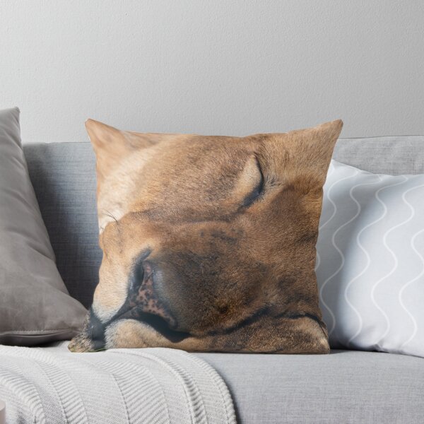 Item preview, Dozing lion designed and sold by cdkphotos.