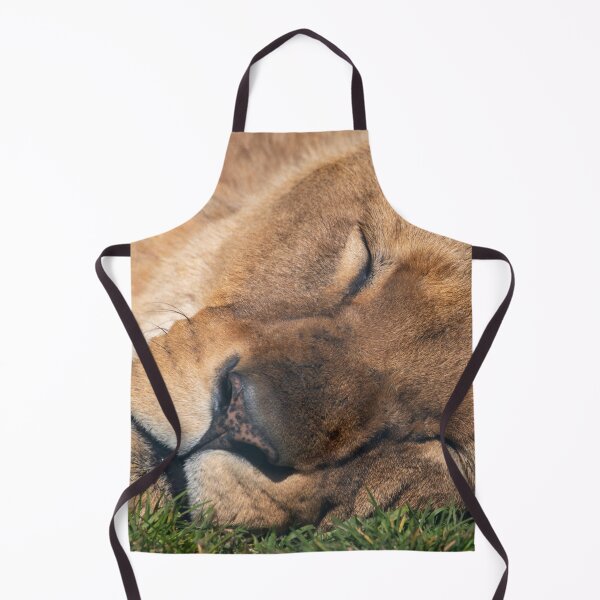 Item preview, Dozing lion designed and sold by cdkphotos.