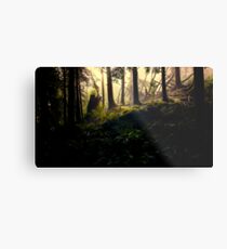 Lambent Mists Metal Print