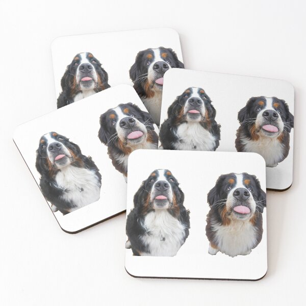 Item preview, Two Bernese Mountain Dogs sticking there tongues out designed and sold by AlbertandOlly.