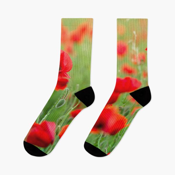 Item preview, Stunning Red Poppy Field in the Evening Sunlight designed and sold by CyaniRose.