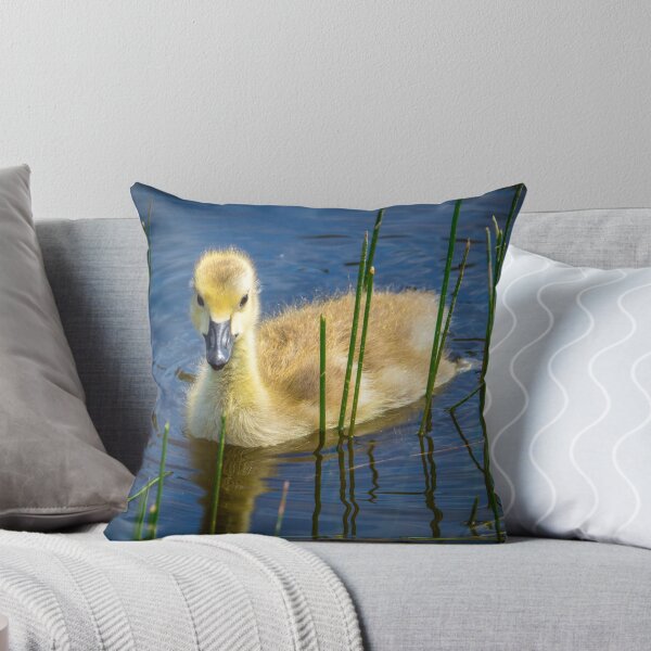 Artikelvorschau, Canada Goose baby entworfen und verkauft von RandyHume.