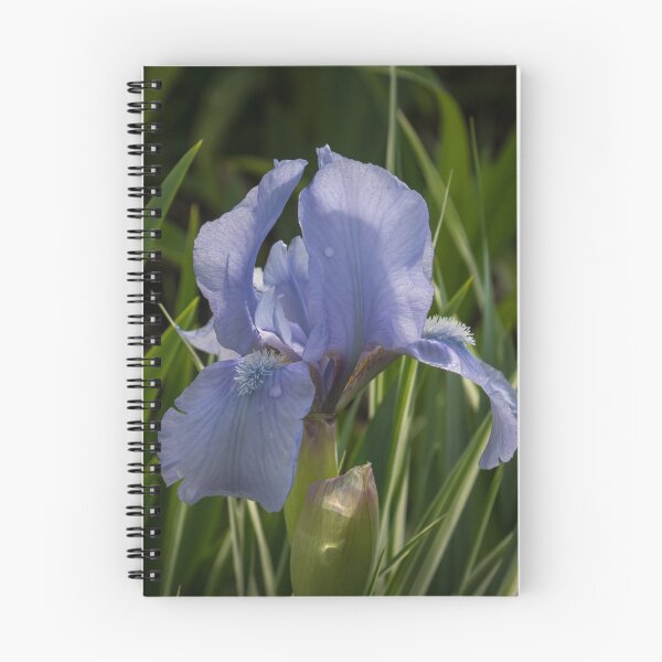 Item preview, Dashing Pale Violet Iris designed and sold by Georgia Mizuleva.