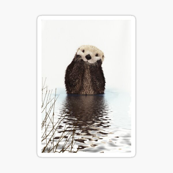 Brooding Otter Sticker