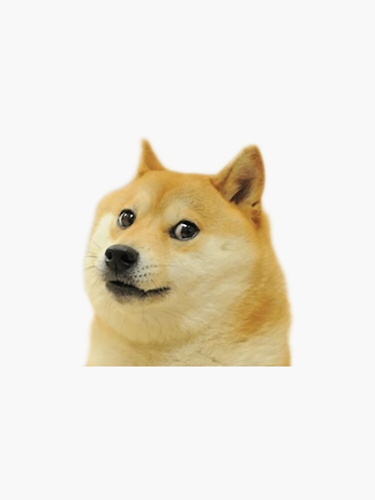 Dogecoin Shiba Inu by Pesto-Festo