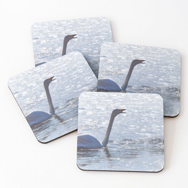 Item preview, Louder call. Whooper swan designed and sold by Jouko Lehto Photography.