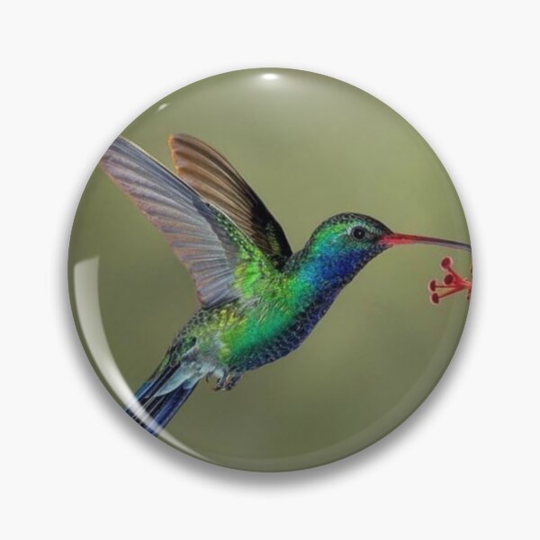 Item preview, Colour full Bird designed and sold by 59SHOP24.