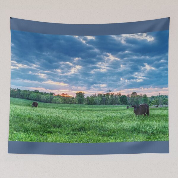 Item preview, Cattle Field Farm Sunset designed and sold by mljdwhite.