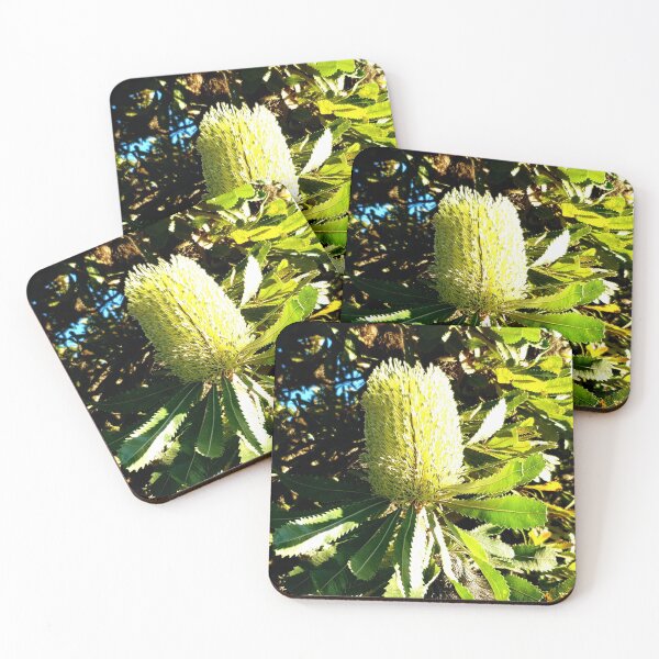 Item preview, Native Banksia Tree Flower designed and sold by Eka77.