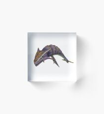 Bloque acrílico Boneshark