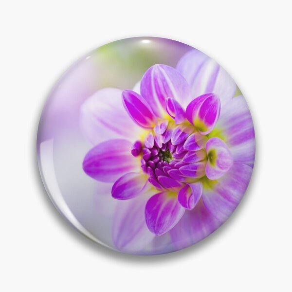 Item preview, Pretty pink purple pastel Dahlia flower in bloom designed and sold by CyaniRose.
