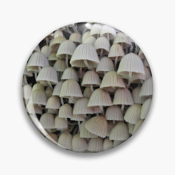Item preview, High Rise Living, Budderoo National Park, NSW, Australia. designed and sold by kaysharp.