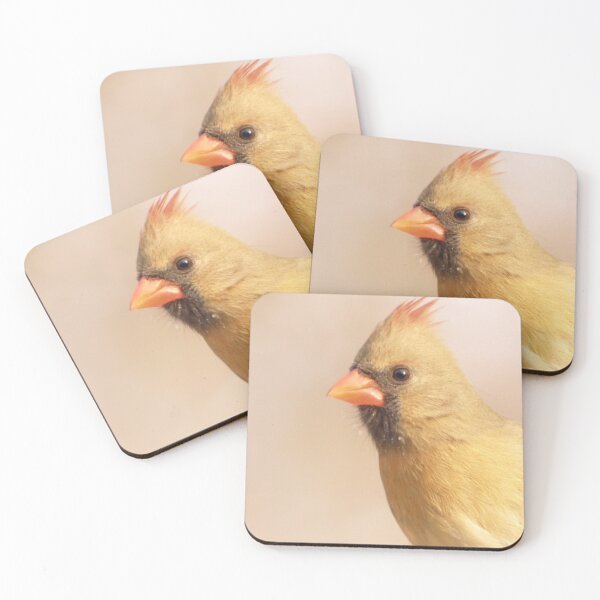 Item preview, Female Cardinal designed and sold by Gaby Swanson.