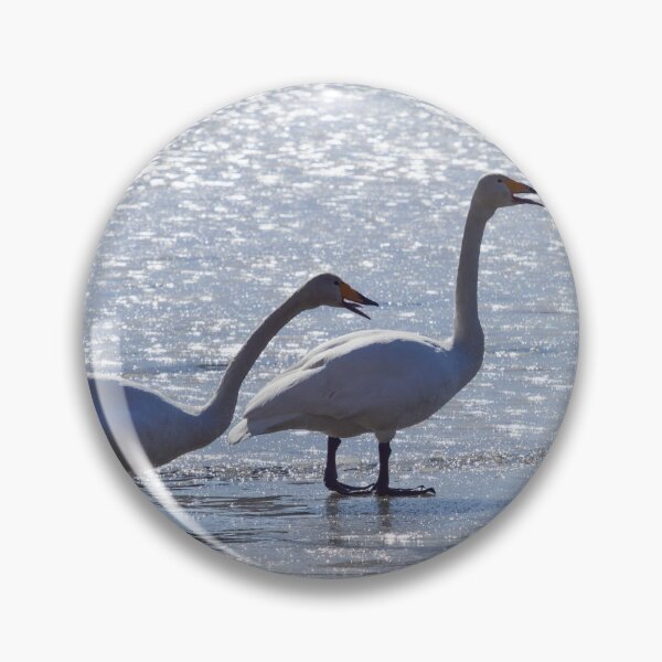 Item preview, Wet feet. Whooper swan designed and sold by Jouko Lehto Photography.