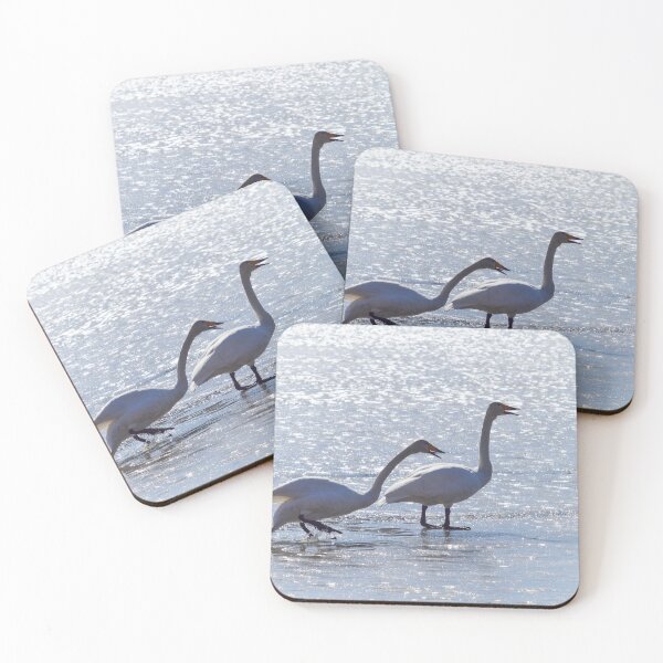 Item preview, Wet feet. Whooper swan designed and sold by Jouko Lehto Photography.