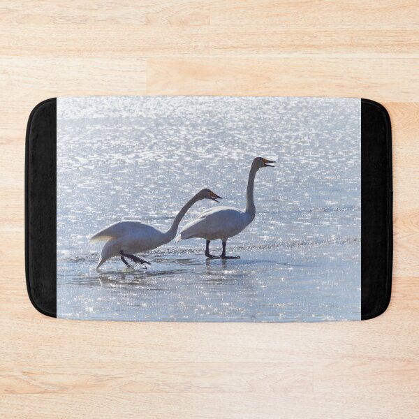 Item preview, Wet feet. Whooper swan designed and sold by Jouko Lehto Photography.