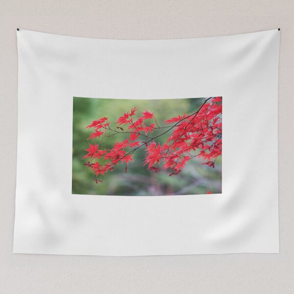 Item preview, Aka Momiji designed and sold by yvesrossetti.