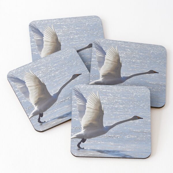 Item preview, Run baby run. Whooper swan designed and sold by Jouko Lehto Photography.