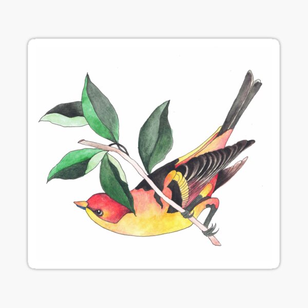 Watercolour Bird Sticker