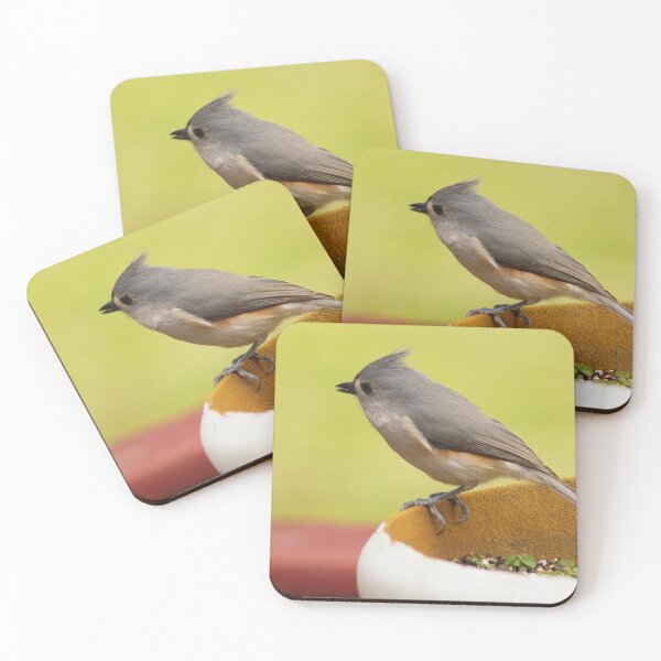 Item preview, Titmouse designed and sold by Gaby Swanson.