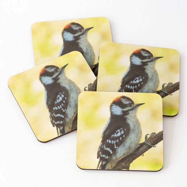 Item preview, DOWNY WOODPECKER designed and sold by Gaby Swanson.