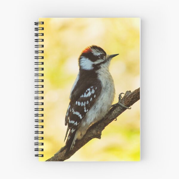 Item preview, DOWNY WOODPECKER designed and sold by Gaby Swanson.