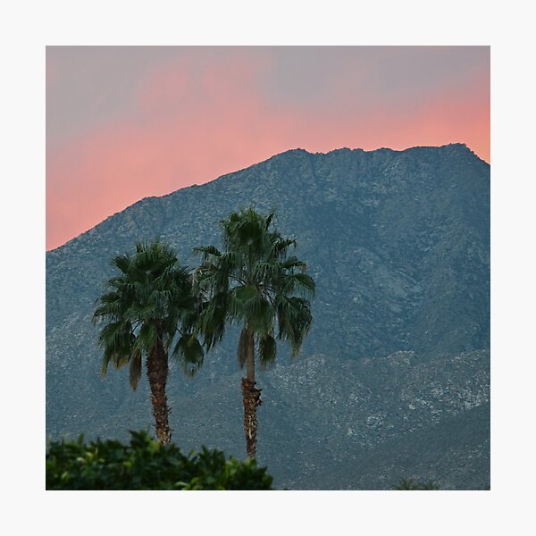 Item preview, Palm Springs Dusk  designed and sold by Cody  VanDyke.