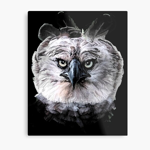 Harpy Eagle' Poster, picture, metal print, paint by Wolf Design