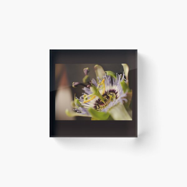 Item preview, Passion flower designed and sold by janet reidman.