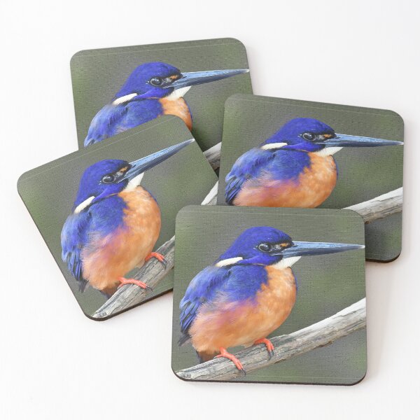 Aperçu de l'œuvre Kingfisher azur du Queensland créée et vendue par Seesee.