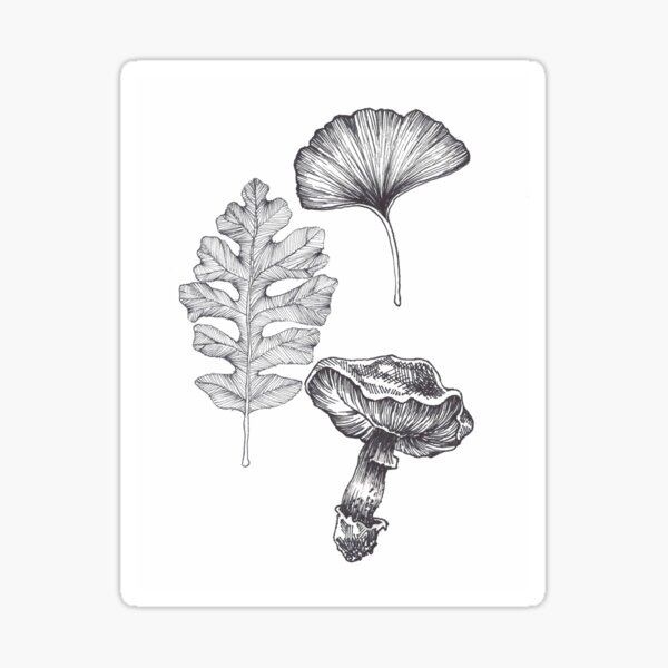 Botanical Ink Drawing Sticker