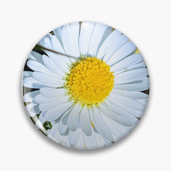 Item preview, Daisies designed and sold by Fluffycat2020.