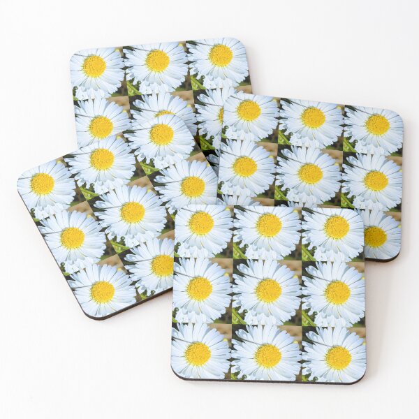 Item preview, Daisies designed and sold by Fluffycat2020.