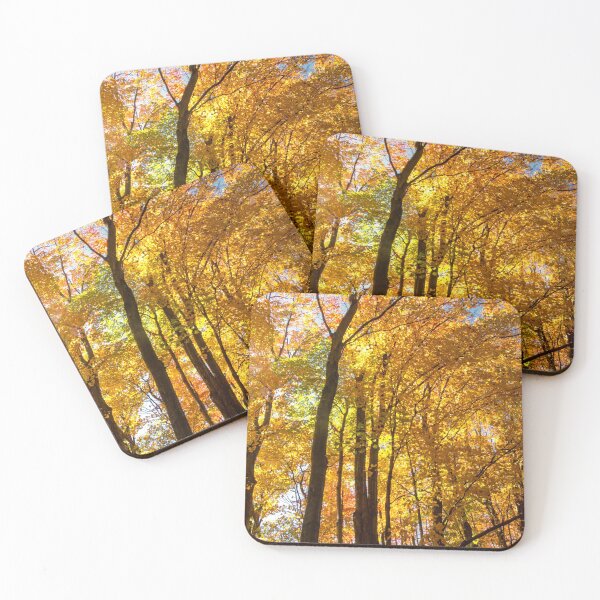Item preview, Autumn Leaves Above designed and sold by Brian Shaw.