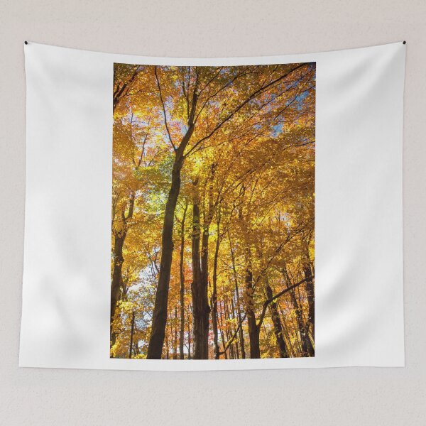 Item preview, Autumn Leaves Above designed and sold by Brian Shaw.