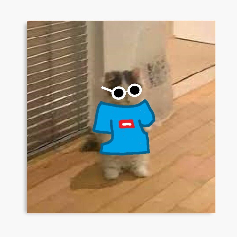 Standing cat pfp  Cat stands, Cat memes, Cat icon