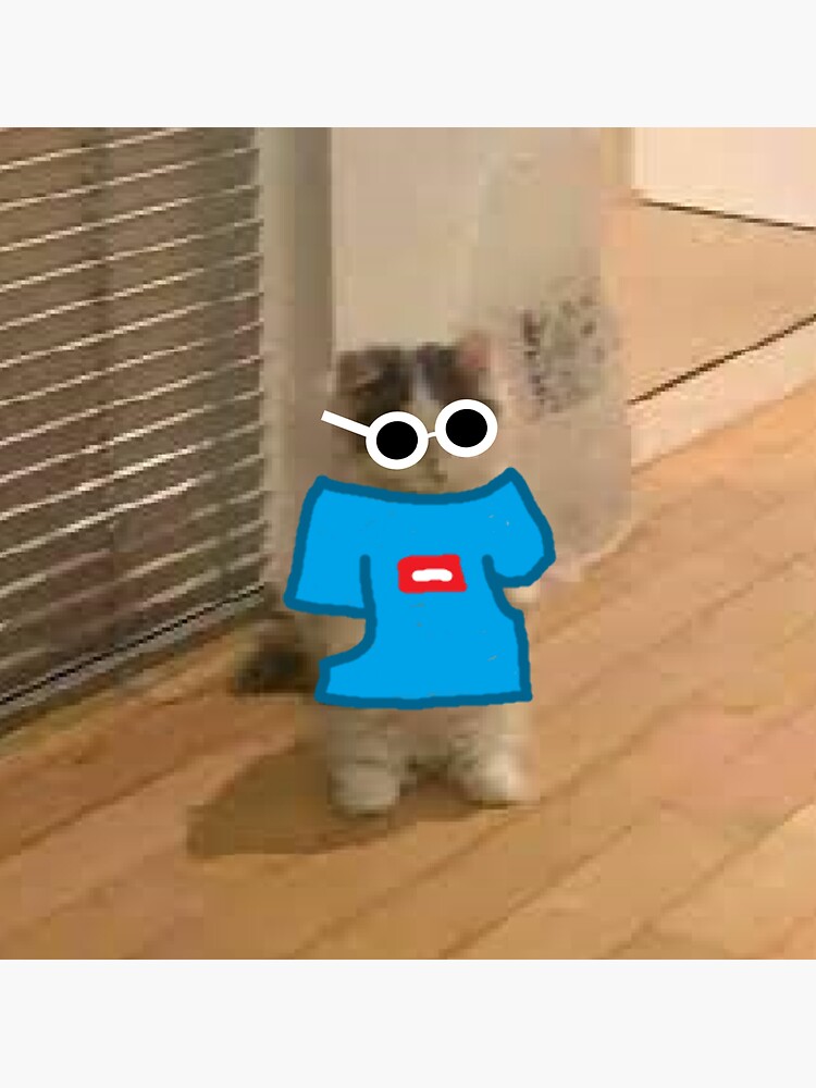 standing cat pfp meme : r/teenagers