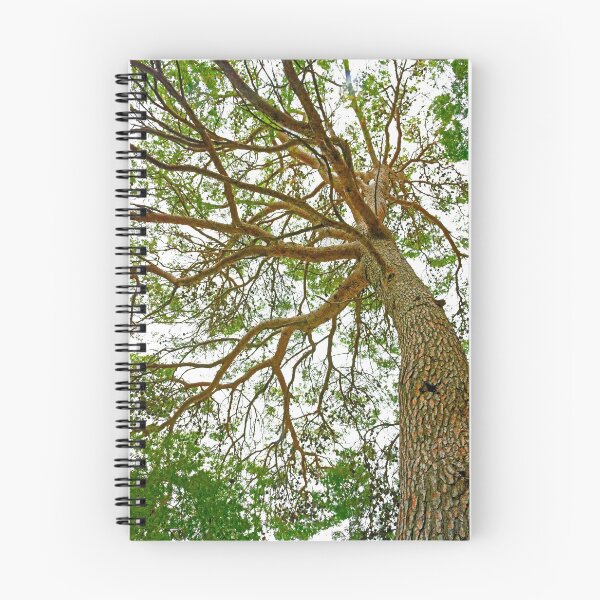 Item preview, Towering Tree, Cavtat designed and sold by Brian Shaw.