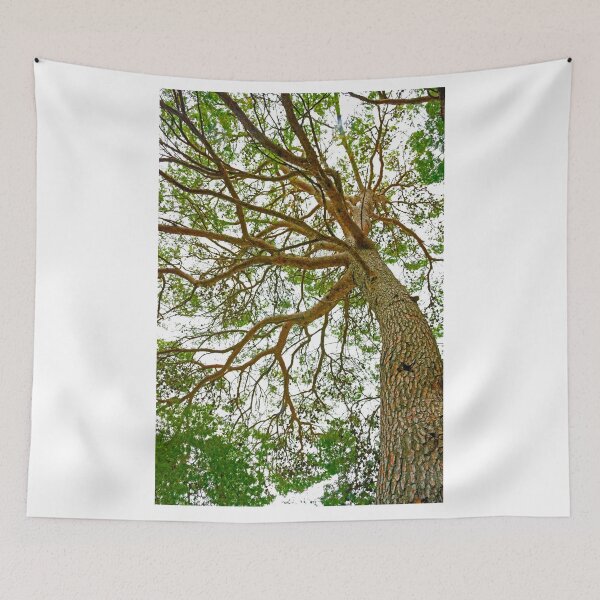 Item preview, Towering Tree, Cavtat designed and sold by Brian Shaw.